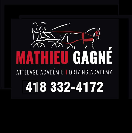Mathieu Gagné Attelage académie | Driving academy