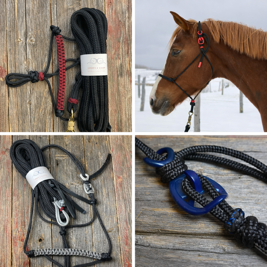 Ensemble Licol Éthologique et Longe Cordes & Galop