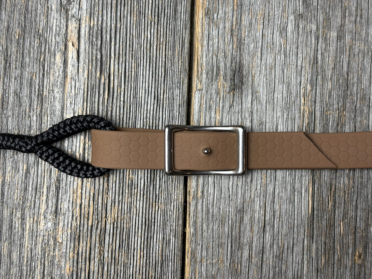 Long reins AAMG
