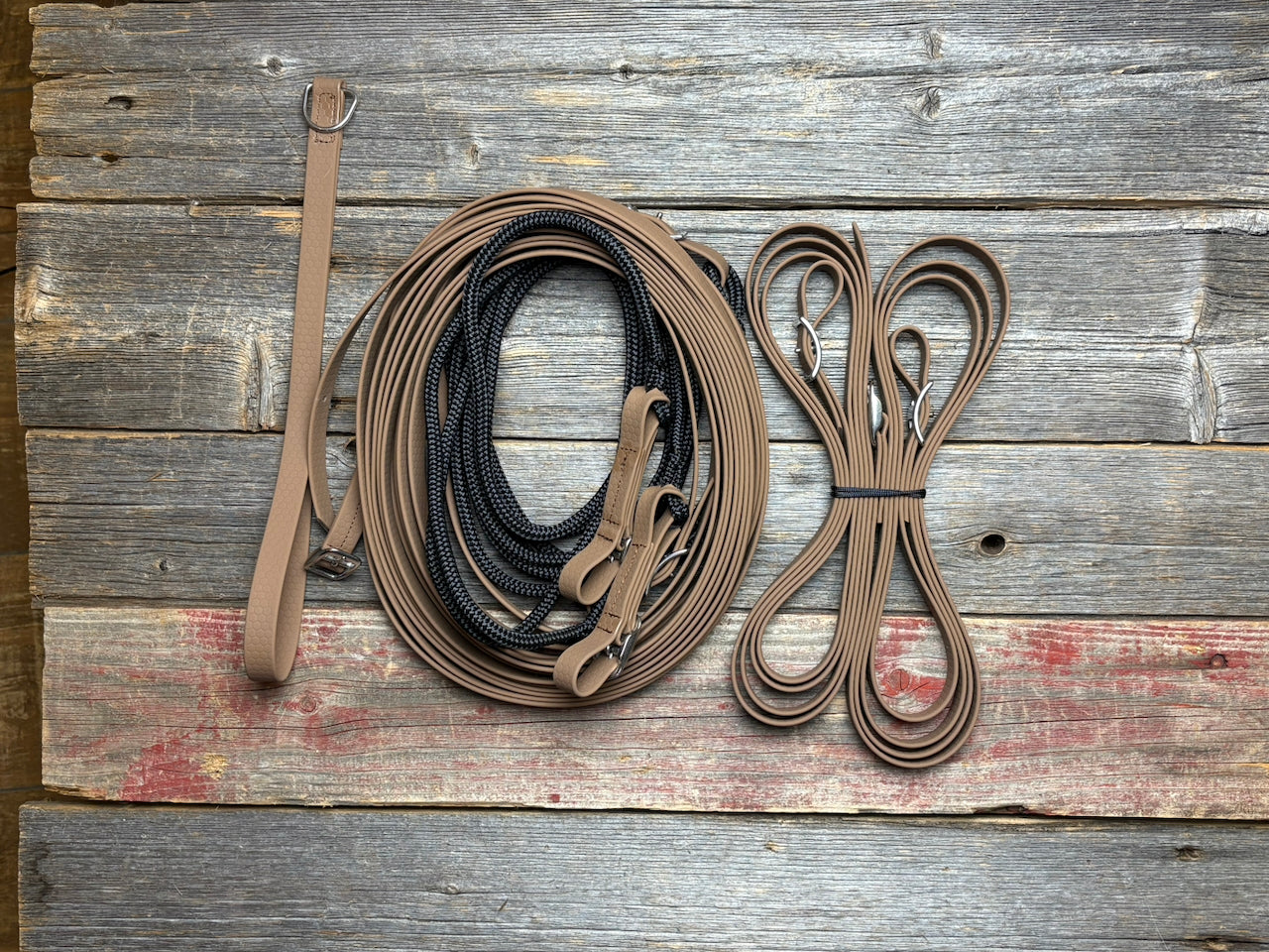 Long reins AAMG