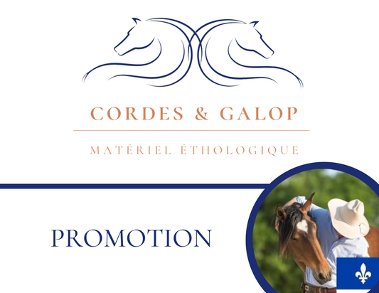 Cordes et Galop - licol pour chevaux - licou pour chevaux - Licou noir - Hookilpen noir - Cheval brun - Sudan - natural horsemanship - horse ground work - equine businesses - promotion